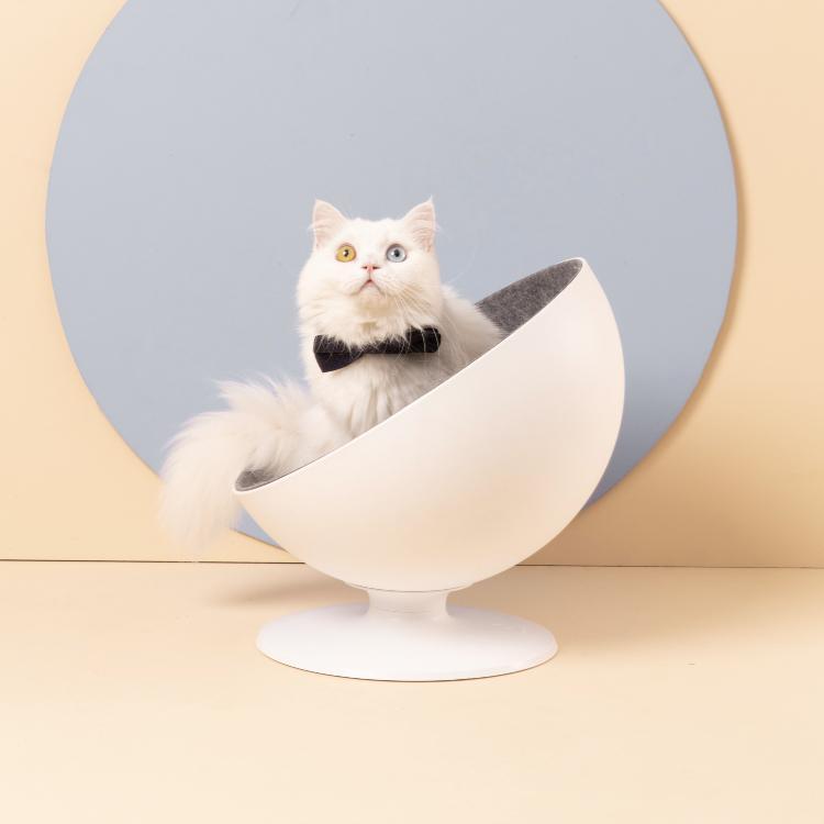 Furrytail Boss Cat Bed, Elevated Cat Chair 猫老板猫窝 - Destiny Pet