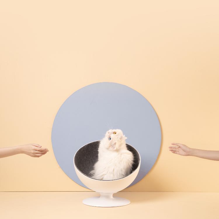 Furrytail Boss Cat Bed, Elevated Cat Chair 猫老板猫窝 - Destiny Pet