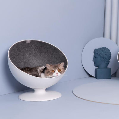 Furrytail Boss Cat Bed cat resting in elevated bed
