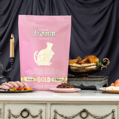 FROMM® GOLD KITTEN DRY CAT FOOD