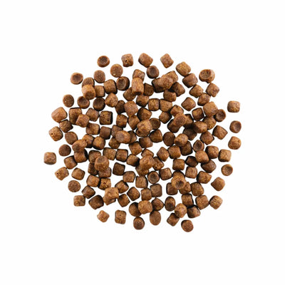 Go! Carnivore GRAIN-FREE CHICKEN, TURKEY + DUCK RECIPE CAT FOOD