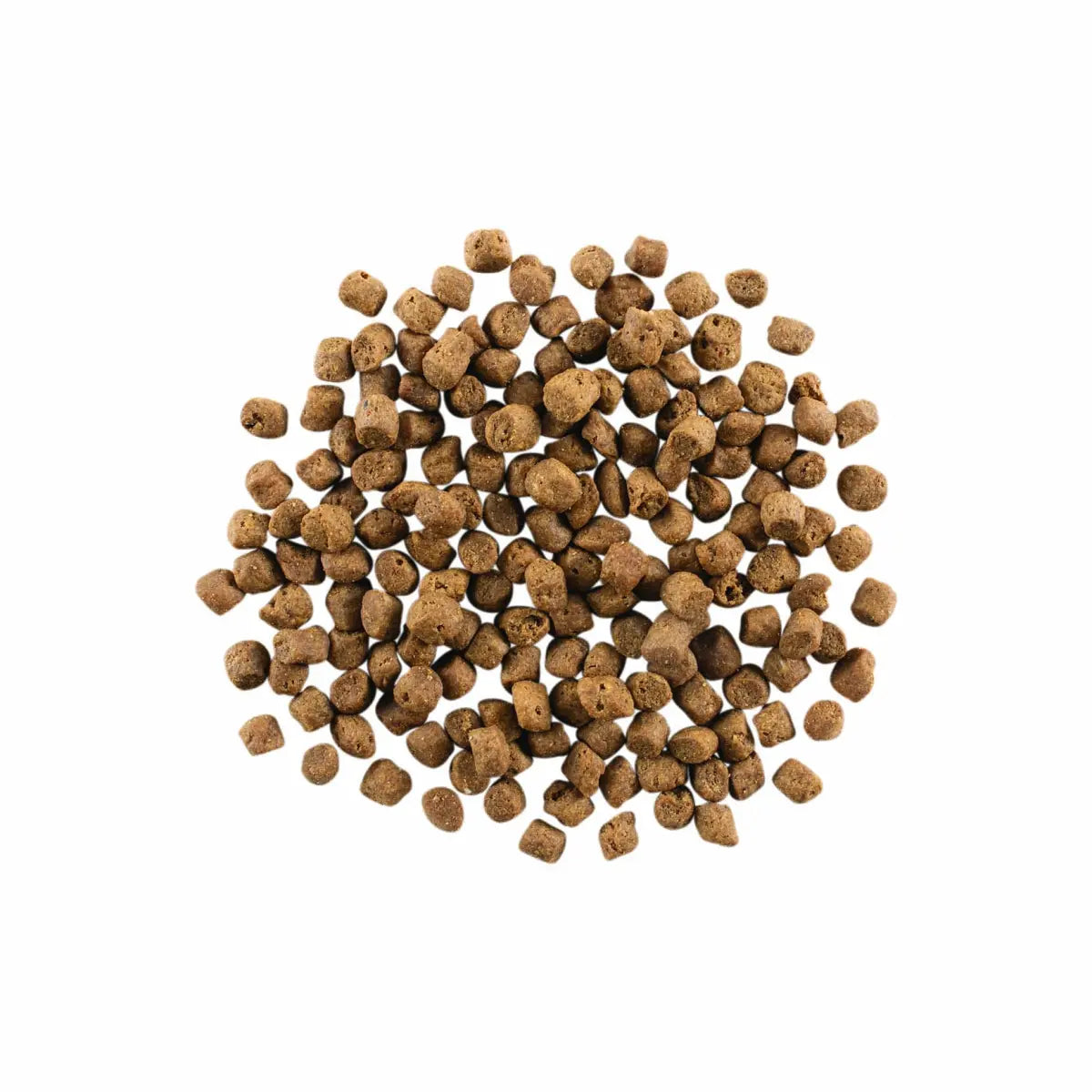 Go!CARNIVORE GRAIN-FREE LAMB + WILD BOAR RECIPE CAT FOOD