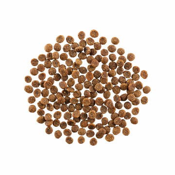 Go!SKIN + COAT CARE GRAIN-FREE SALMON RECIPE CAT FOOD product image 2