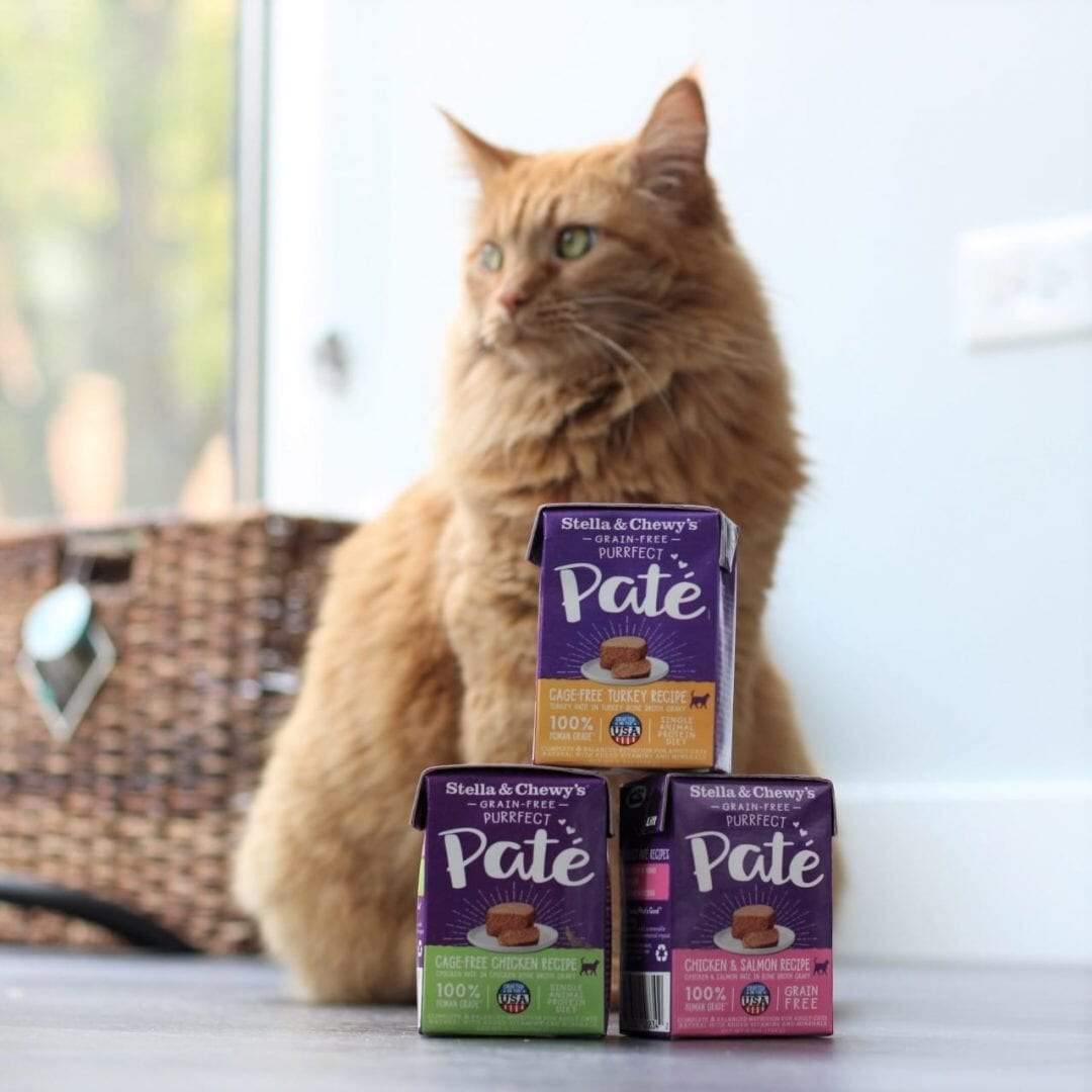 Stella&Chewy's Wet Food CAGE-FREE CHICKEN PATÉ - Destiny Pet