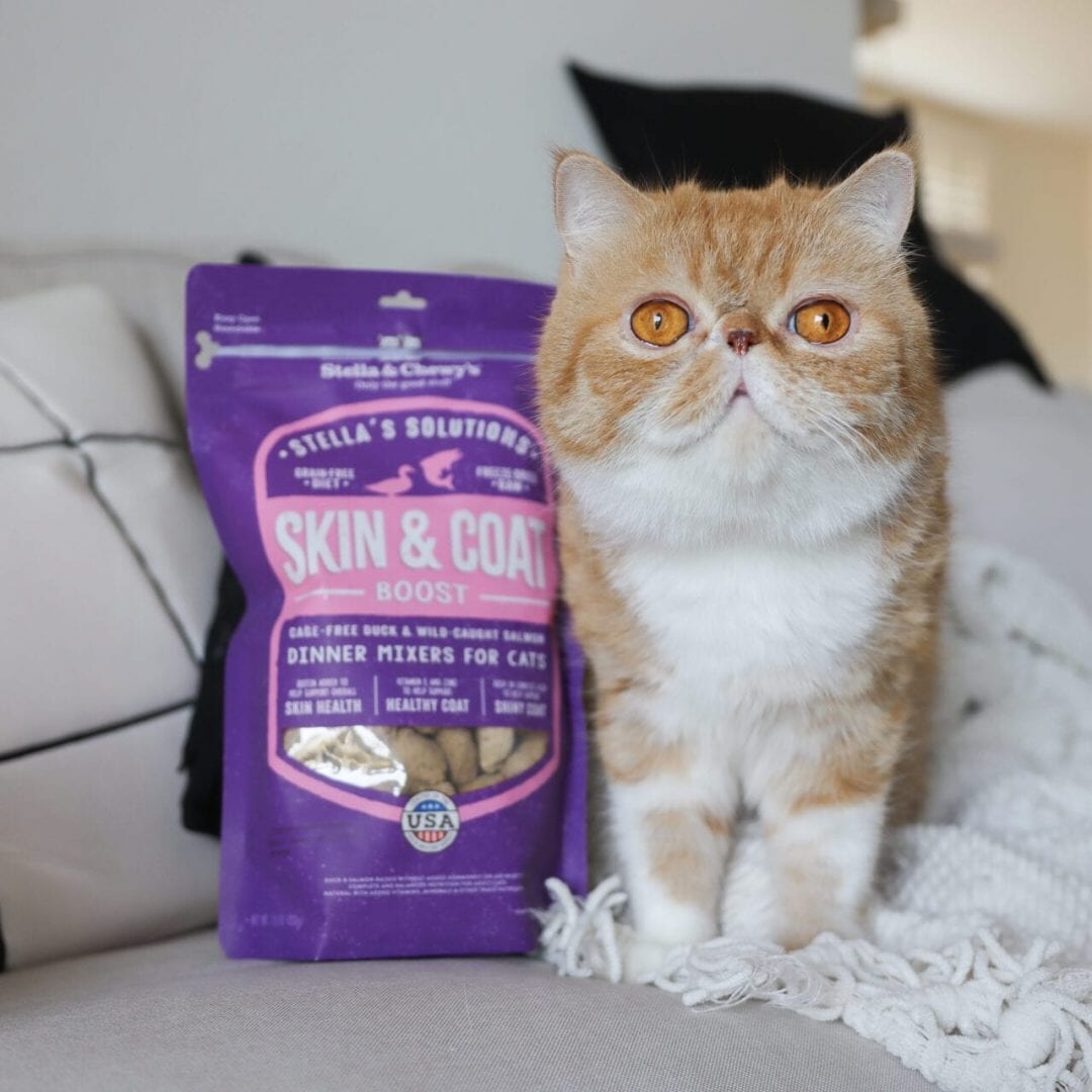 Stella&Chewy's Freeze Dried Raw STELLA’S SOLUTIONS SKIN & COAT BOOST - Destiny Pet