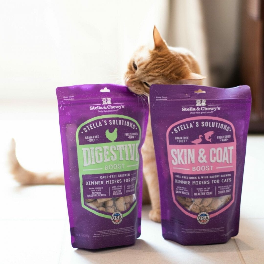 Stella&Chewy's Freeze Dried Raw STELLA’S SOLUTIONS DIGESTIVE BOOST - Destiny Pet