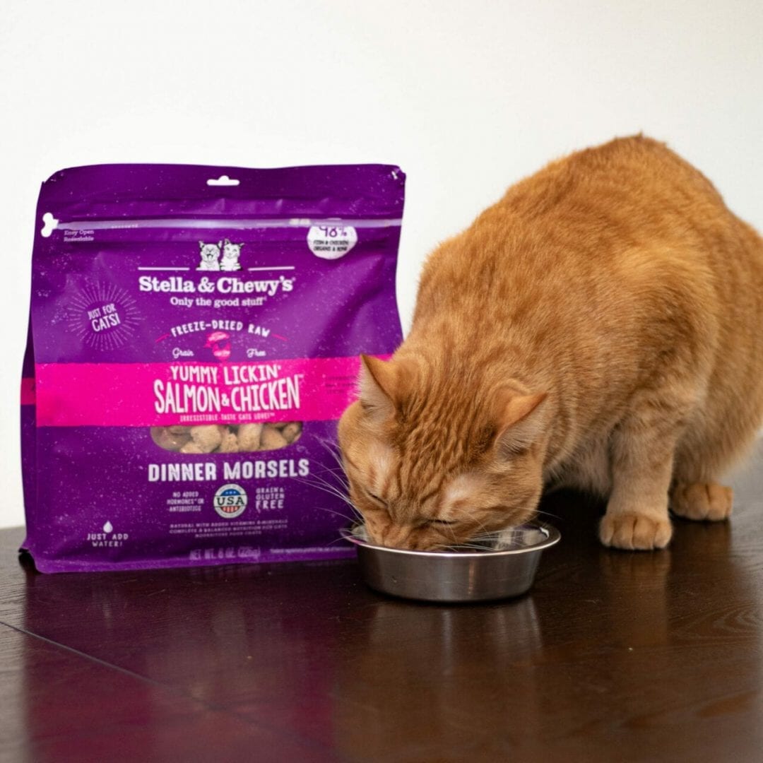 Stella&Chewy's Freeze Dried Raw YUMMY LICKIN’ SALMON & CHICKEN FREEZE-DRIED RAW DINNER MORSELS - Destiny Pet