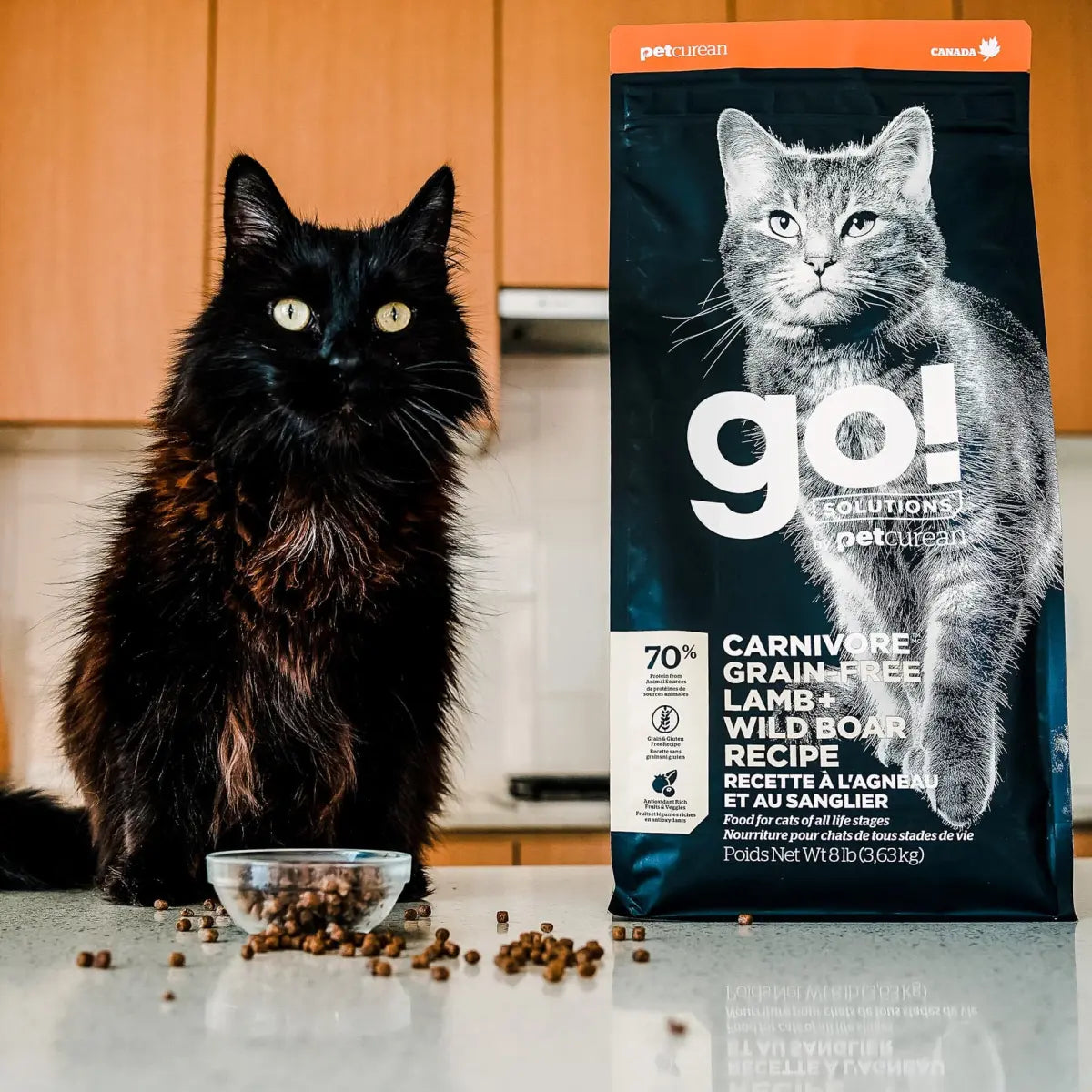 Go!CARNIVORE GRAIN-FREE LAMB + WILD BOAR RECIPE CAT FOOD