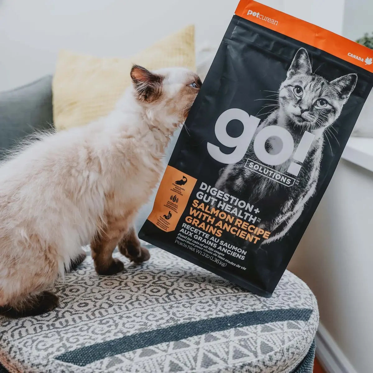 Go!DIGESTION + GUT HEALTH SALMON RECIPE WITH ANCIENT GRAINS CAT FOOD