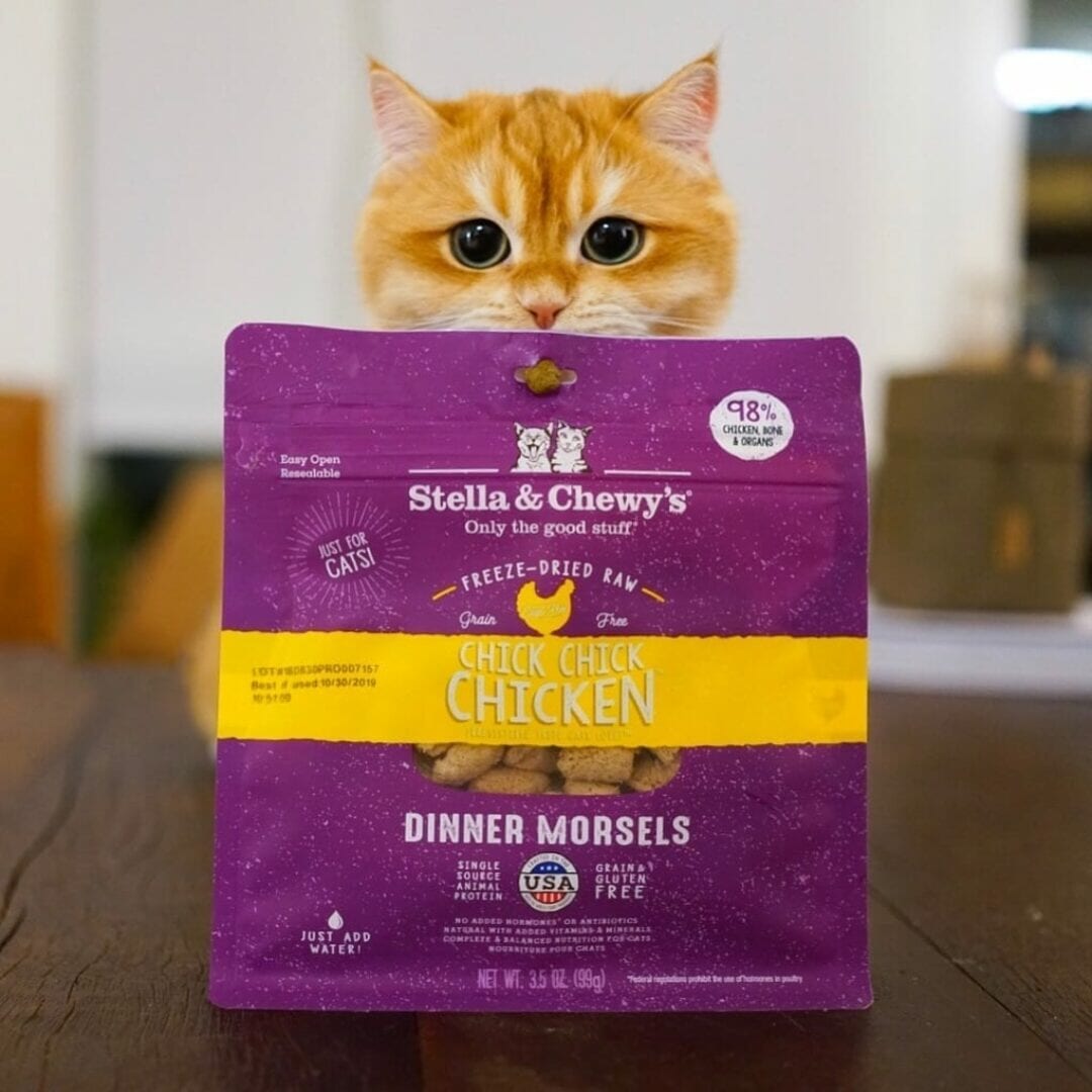 Stella&Chewy's Freeze Dried Raw CHICK, CHICK CHICKEN FREEZE-DRIED RAW DINNER MORSELS - Destiny Pet