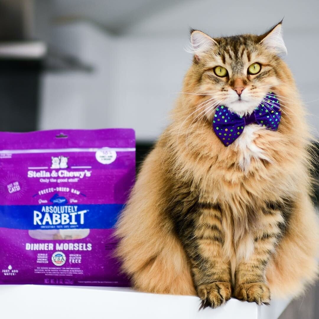 Stella&Chewy's Freeze Dried Raw ABSOLUTELY RABBIT FREEZE-DRIED RAW DINNER MORSELS - Destiny Pet