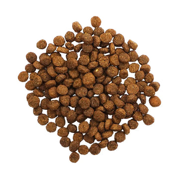 Go!DIGESTION + GUT HEALTH SALMON RECIPE WITH ANCIENT GRAINS CAT FOOD product image 2