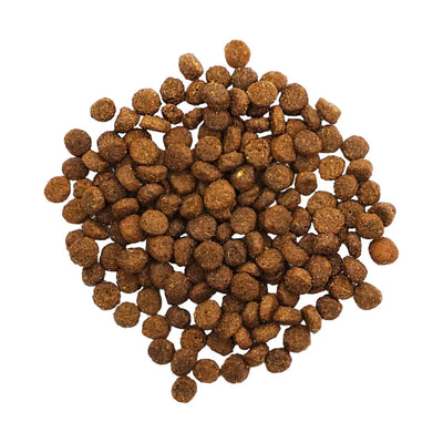 Go!DIGESTION + GUT HEALTH SALMON RECIPE WITH ANCIENT GRAINS CAT FOOD