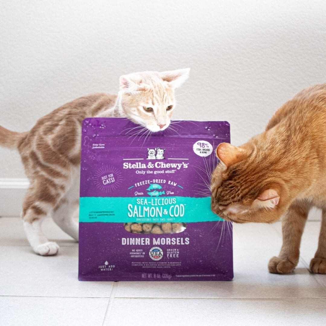 Stella&Chewy's Freeze Dried Raw SEA-LICIOUS SALMON & COD FREEZE-DRIED RAW DINNER MORSELS - Destiny Pet