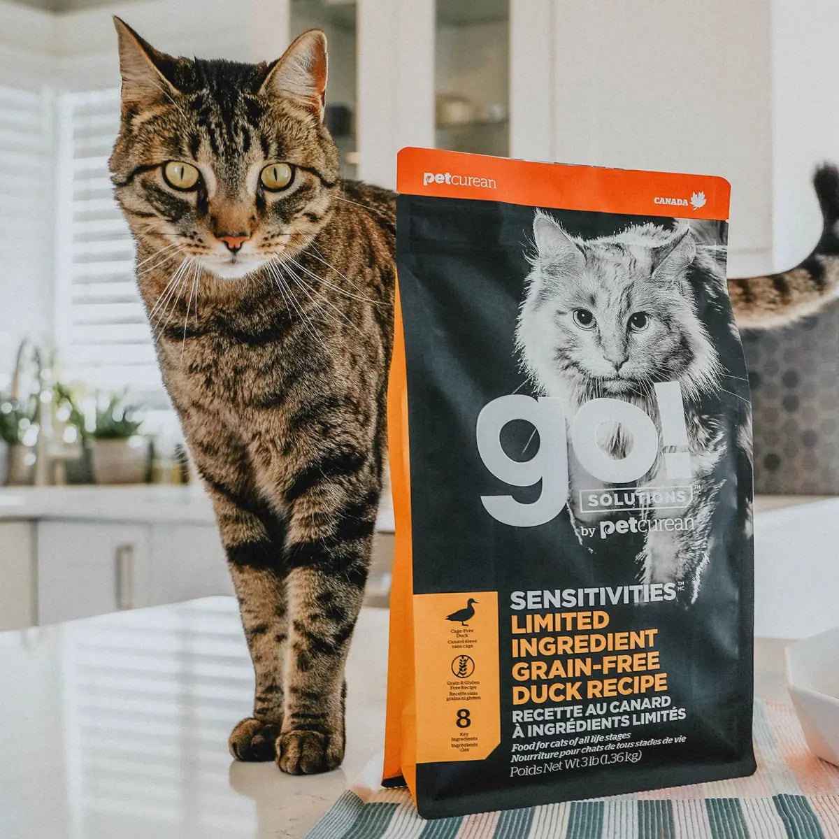 Go! SENSITIVITIES LIMITED INGREDIENT GRAIN-FREE DUCK RECIPE CAT FOOD