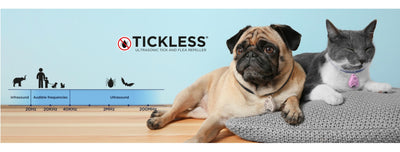 Brand - Tickless