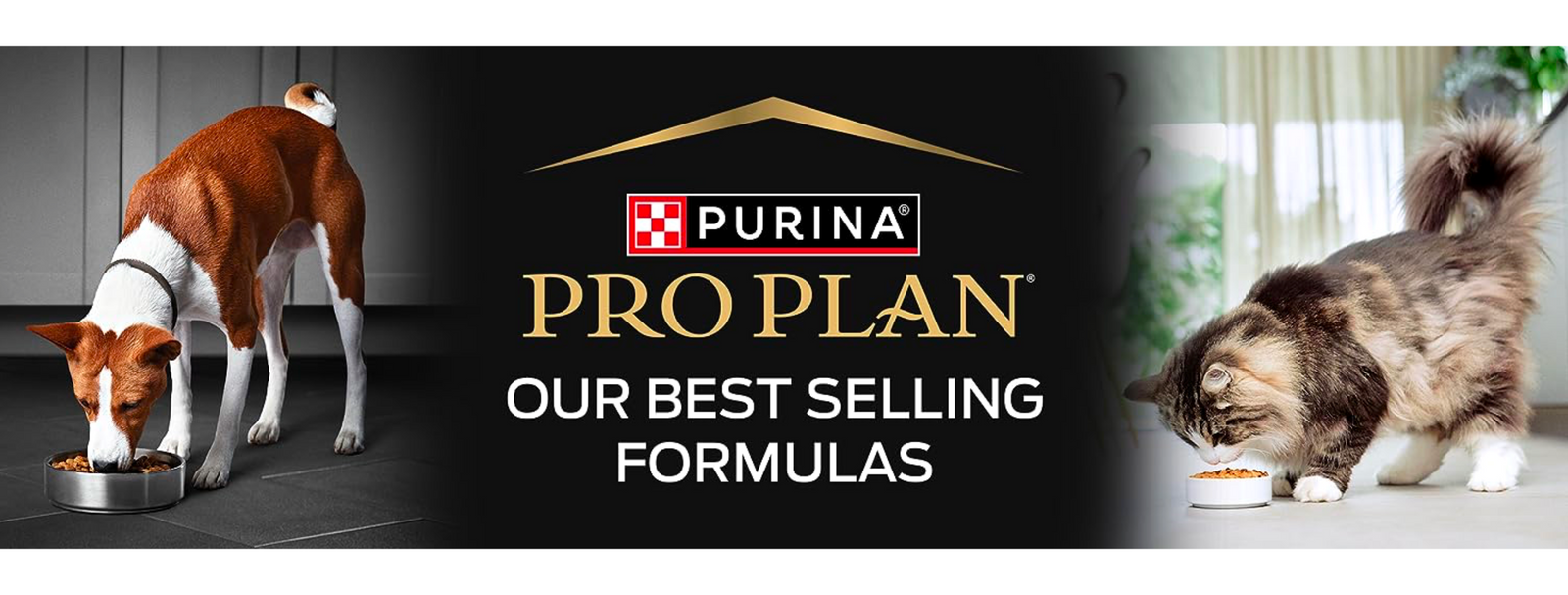 Brand - Pro Plan
