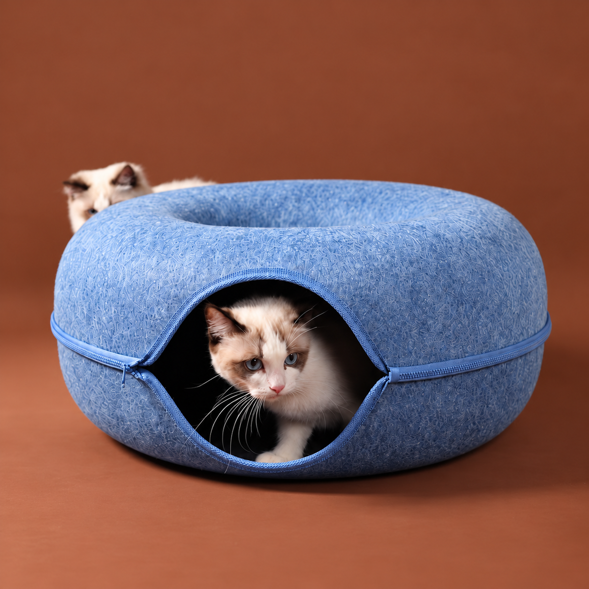 Donut felt cat tunnel bed blue cat play scene without text - corrected 1:1