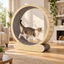 Scene | MiaoZan Cat Treadmill | cat using the product in a natural home setting