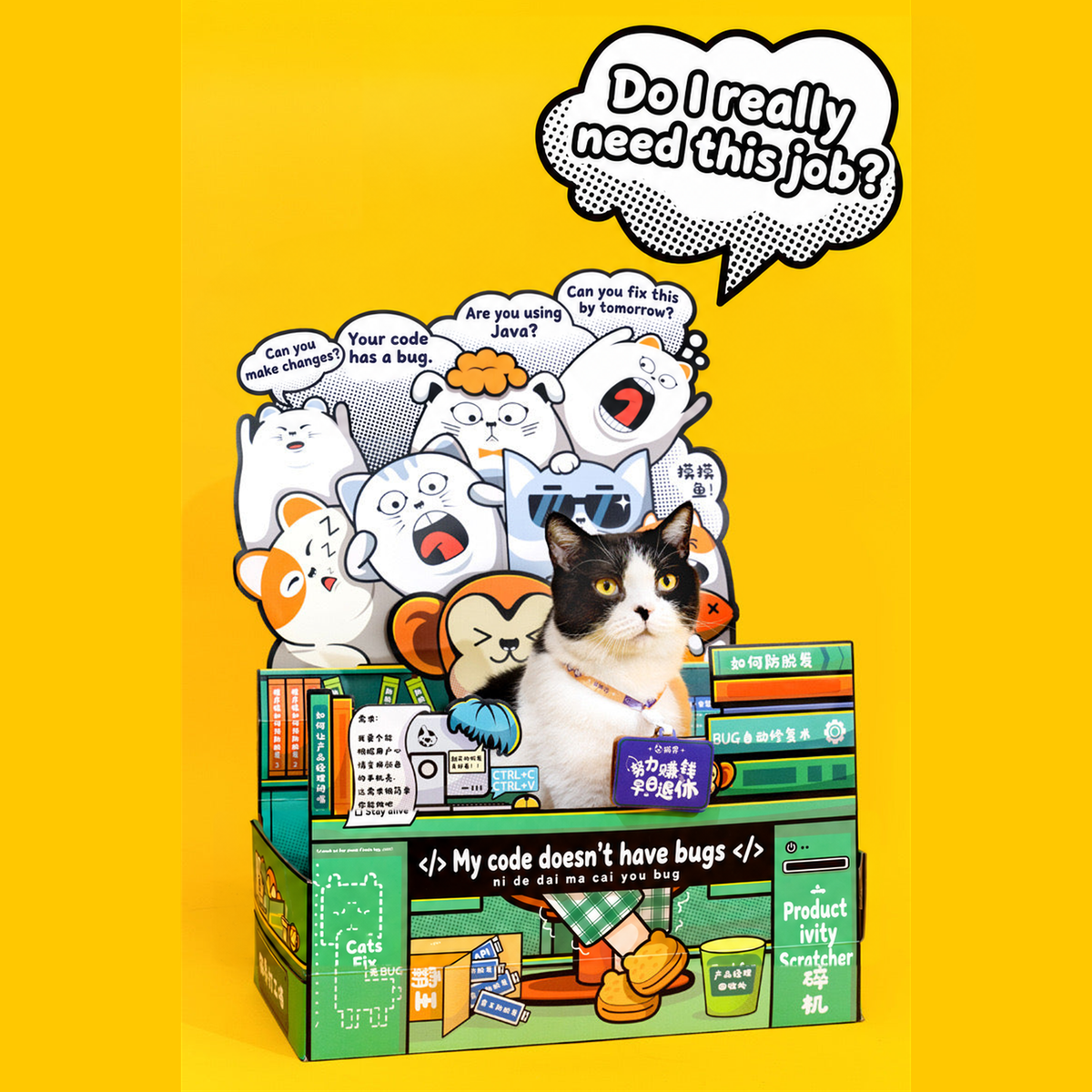 Work Cat scratcher box in a real-life workday scene
