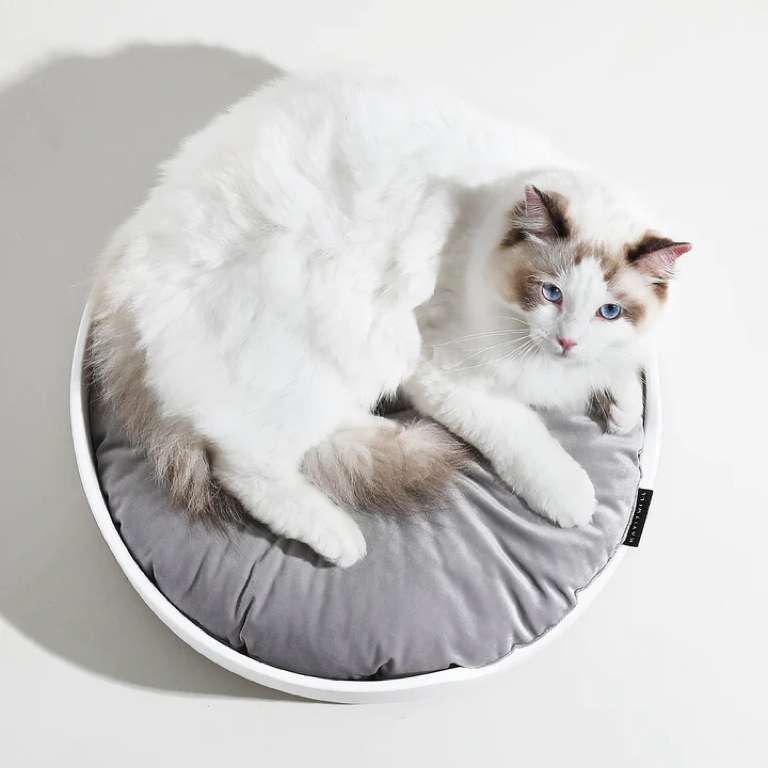 MAYITWILL Cat Castle - Soft Cushion Bed source media 1 [Gallery: Soft Cushion Bed]