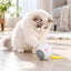 Cat playing with the Aiwo interactive rolling cat ball toy indoors