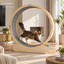 Revised | MiaoZan Cat Treadmill gallery image 01 | full text transfer | transparent overlay | square composition