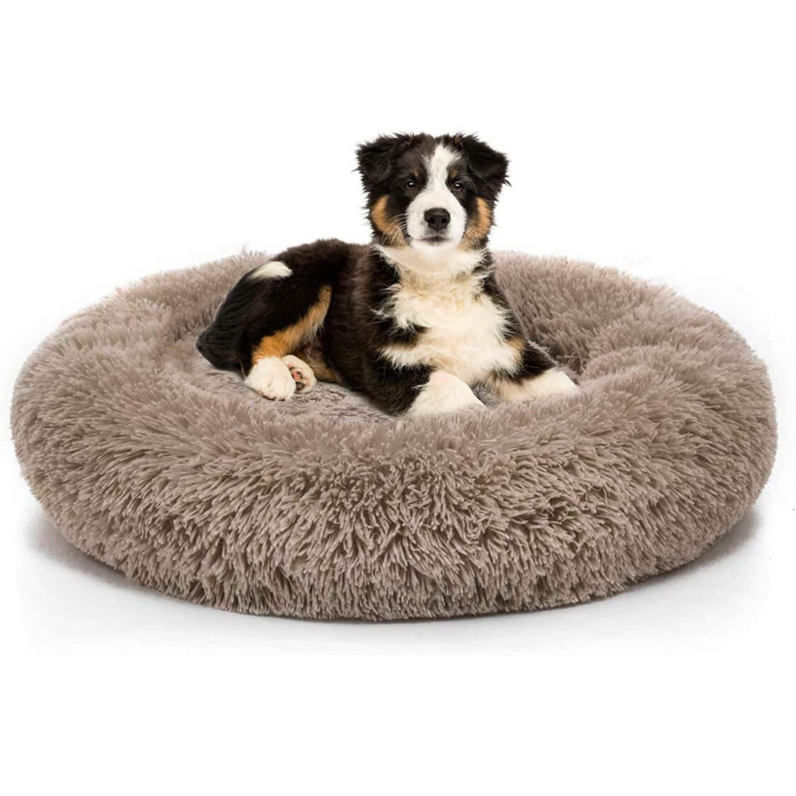 JAMBOREE warm grey long-haired donut pet bed with a puppy