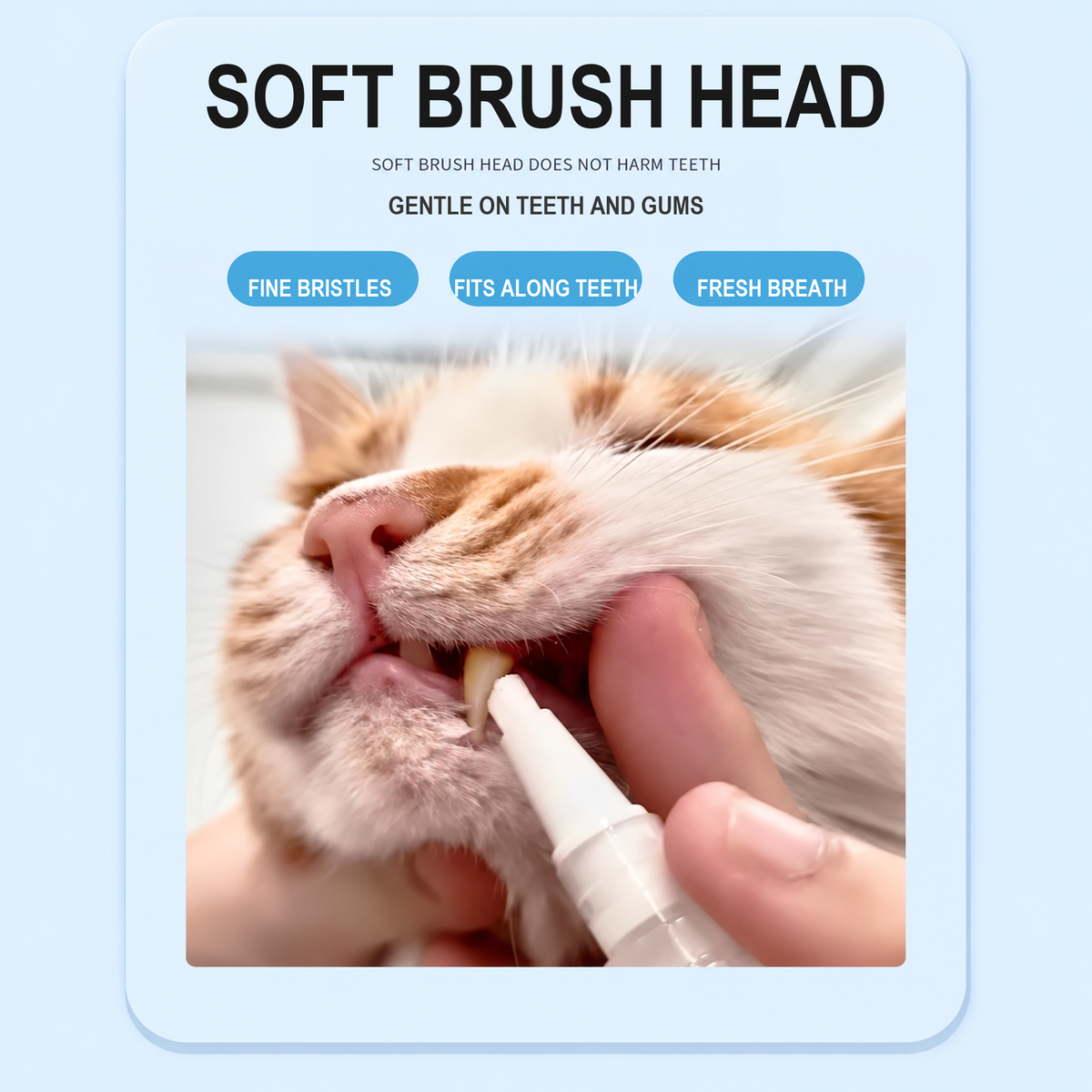 Pet dental gel applicator with a soft brush head and gentle brushing design