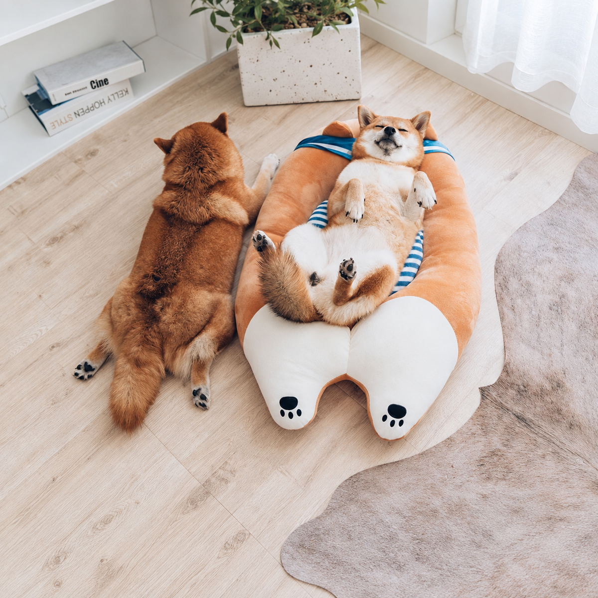 Nautical Cuddle Flop Nest effective 1:1 continuous background outpaint revision v2, source image 1, no crop