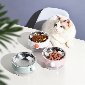 MAYITWILL CLOWN CAT BOWL | lifestyle cat and three bowls | effective square composition | FULL_FRAME_OUTPAINT | 20260922
