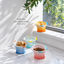 Hocc gradient fish-shaped ceramic cat bowl in a bright window scene with four color options [Gallery: Lifestyle]