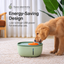 AIWO avocado-green pet water fountain low-voltage energy-saving design