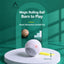 Aiwo interactive rolling cat ball toy on a white platform