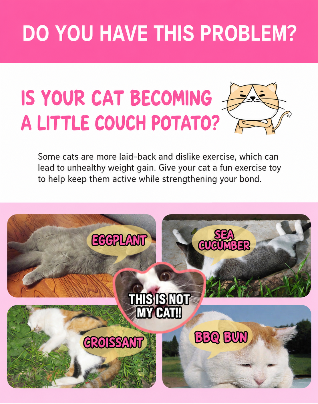 Cat laser toy activity problem and inactive cat examples [Latest English correction for original 02]