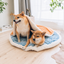Nautical Style Dorayaki Pet Bed effective 1:1 continuous background outpaint revision v2, source image 2, no crop