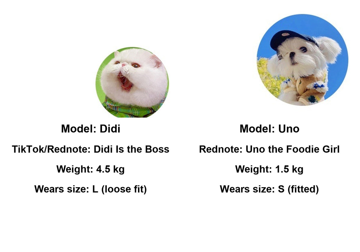 Monin & B1GGERFISH floral pet dress Didi and Uno model reference in English