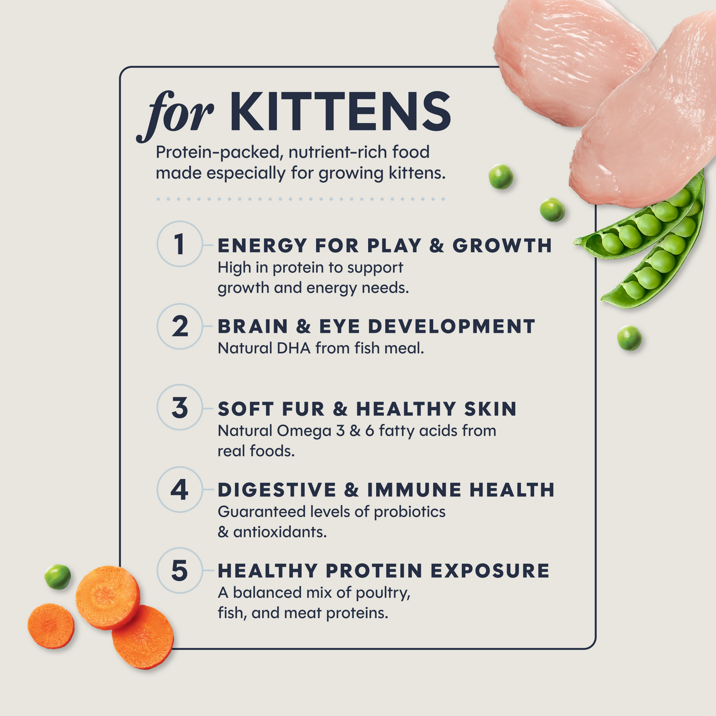 Instinct Original Kitten Chicken cat food official product detail