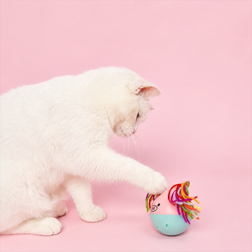 Fofos Disco Ball Tumbler Pig interactive cat toy - real cat usage scene