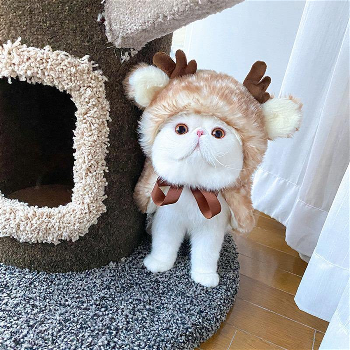 Bigger Fish deer cat cape - real cat wearing scene