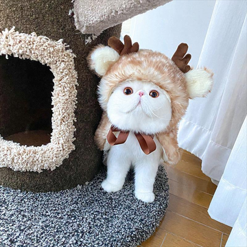 Bigger Fish deer cat cape - real cat wearing scene