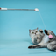 Aiwo multifunctional cat teaser - real cat play scene