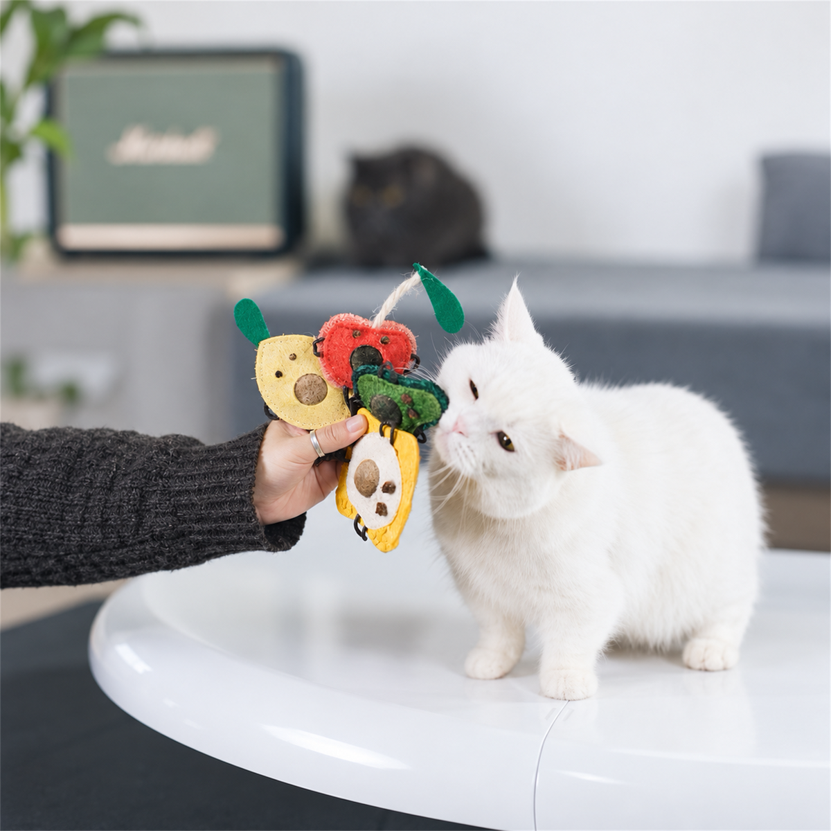 White cat interacting with a hand-held set of food-shaped matatabi toys