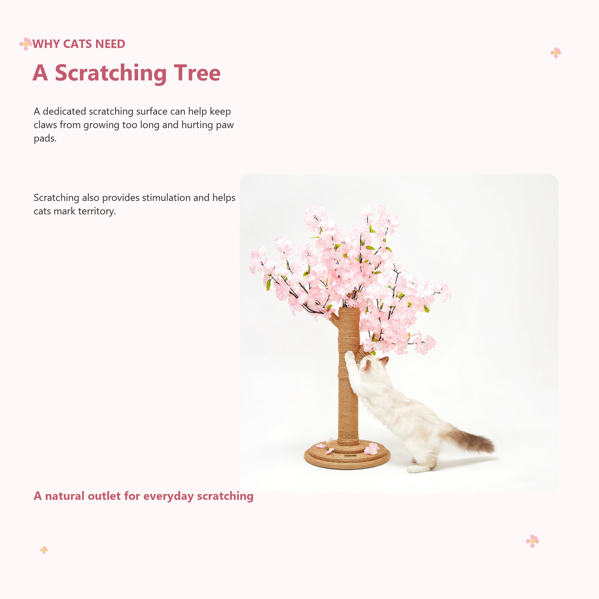 VETRESKA Sakura Cat Tree | Why cats need a scratching tree | English square panel 02