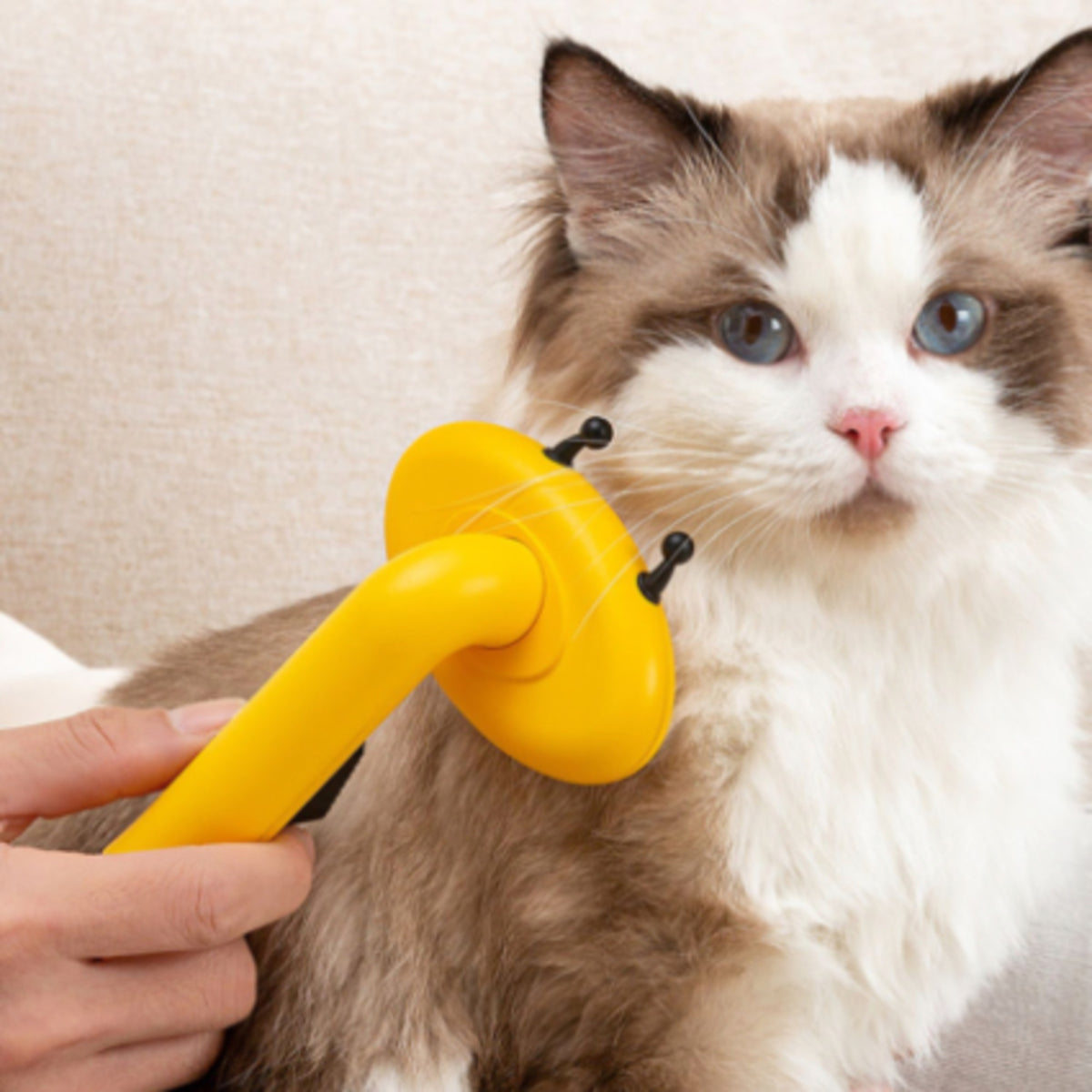 Aiwo yellow bee deshedding pet brush used for cat grooming [Gallery: Shared]