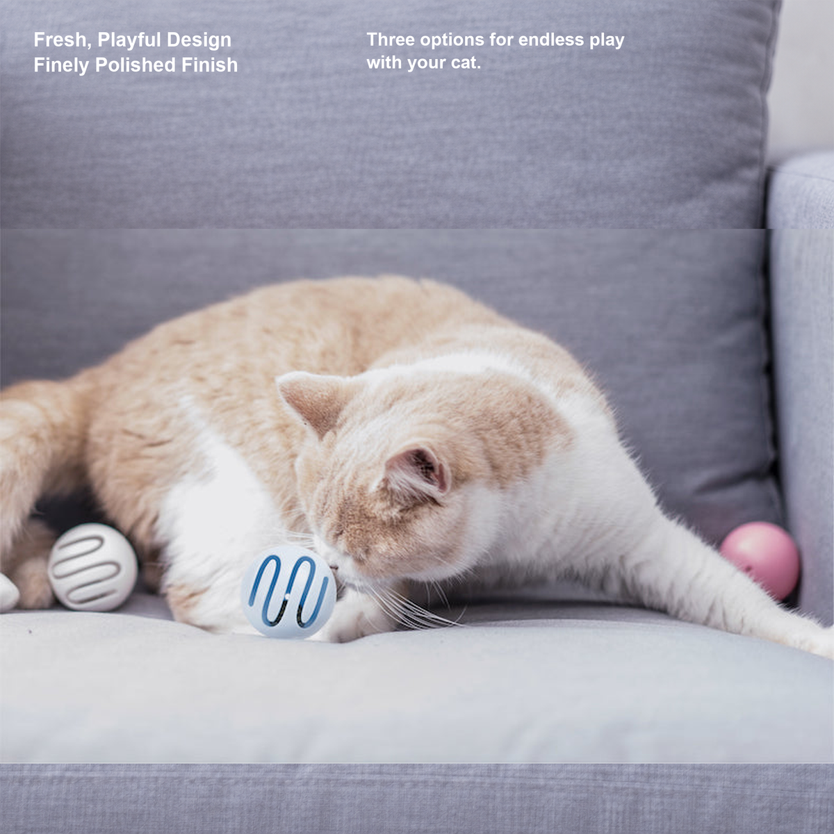 PIDAN Toy Ball | Cat play scene | English square image 02