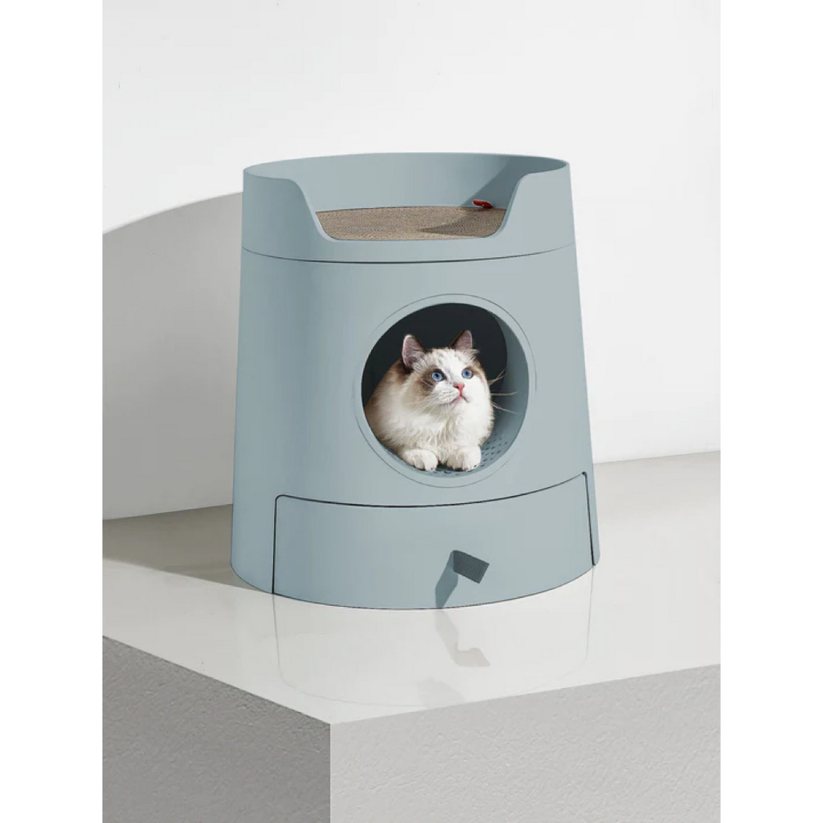 MAYITWILL Cat Castle Semi-Closed Litter Box - Morandi Green source media 3 [Gallery: Morandi Green]