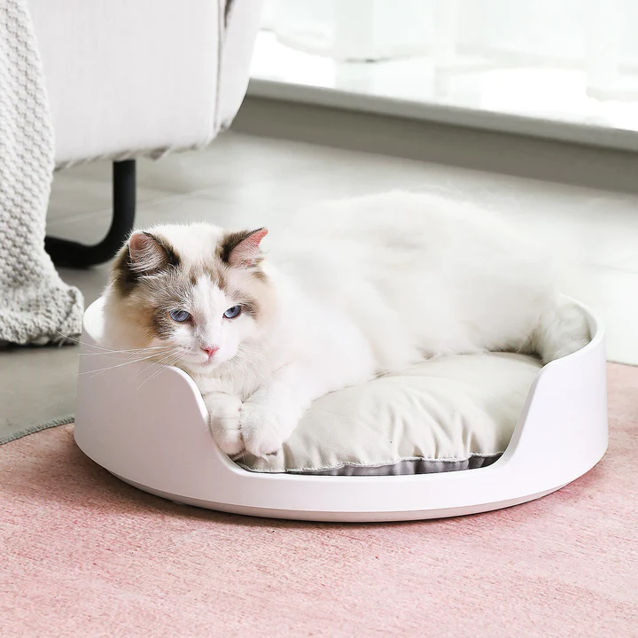 MAYITWILL Cat Castle - Soft Cushion Bed source media 3 [Gallery: Soft Cushion Bed]