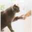 REVISED | PAWBBY Pet Clipper Trimmer used for cat paw grooming [Gallery: Shared]