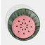 Top view of VETRESKA watermelon rattan pet bed with watermelon cushion, corrected effective square composition [Comparison: corrected after original 3, 2026-09-10]